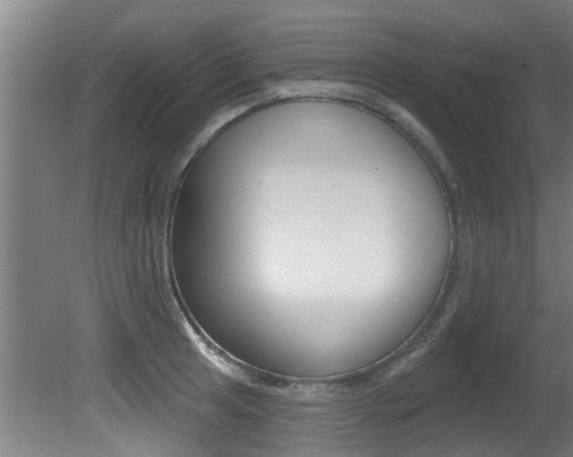 X0000081401041200701111228