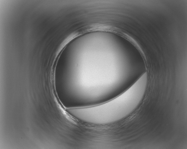 X0000081401050200701111228