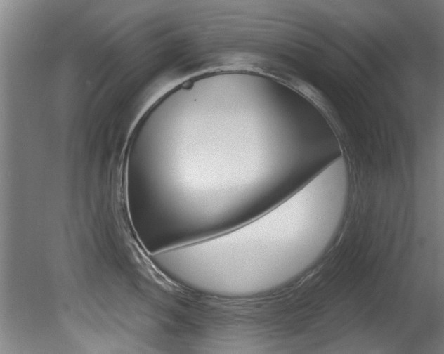 X0000081401052200701111228