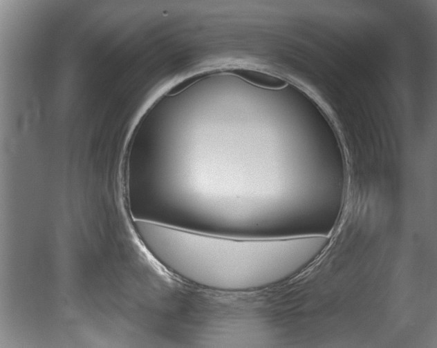 X0000081401056200701111228