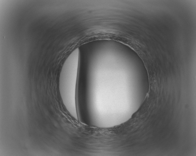 X0000081401061200701111227