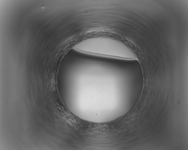 X0000081401062200701111227