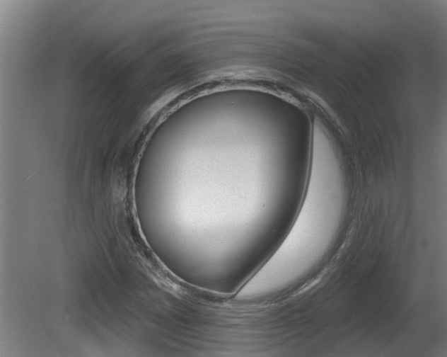 X0000081401065200701111227
