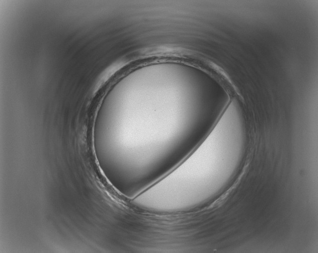 X0000081401066200701111227