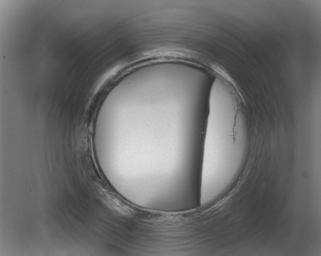 X0000081401067200701111227