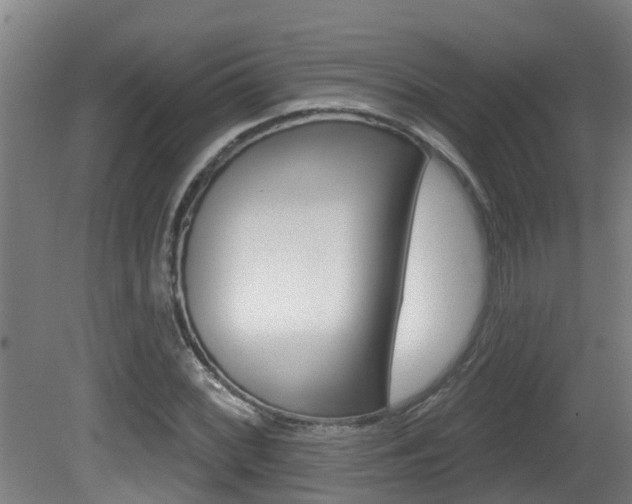X0000081401068200701111227