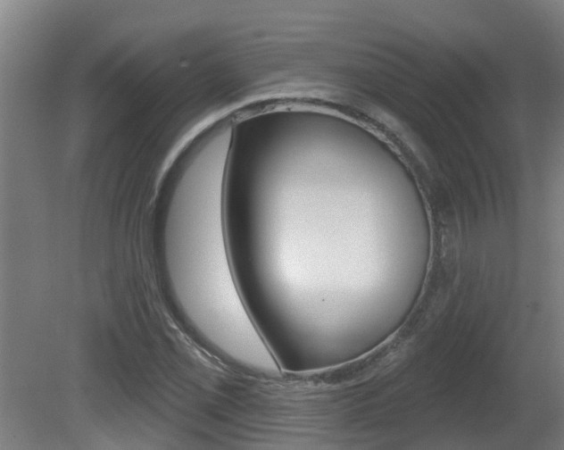 X0000081401069200701111227