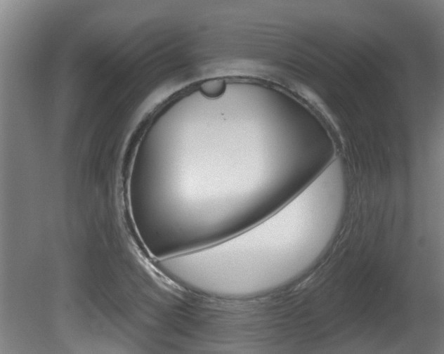 X0000081401072200701111227