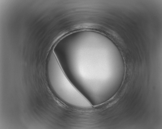 X0000081401073200701111227