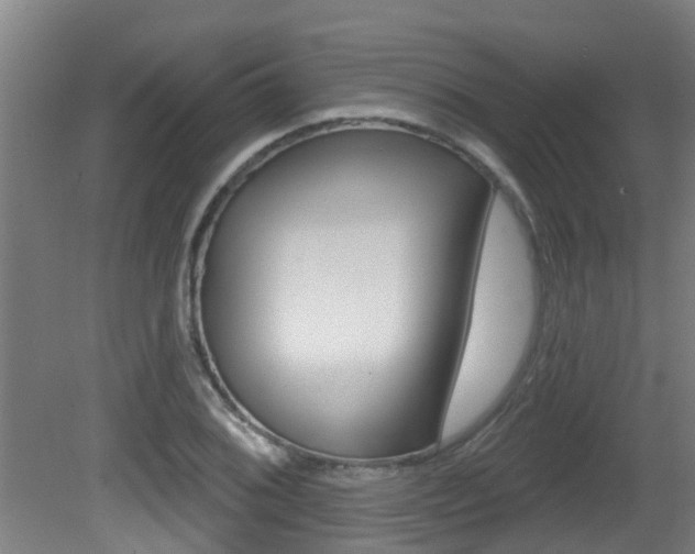 X0000081401076200701111227
