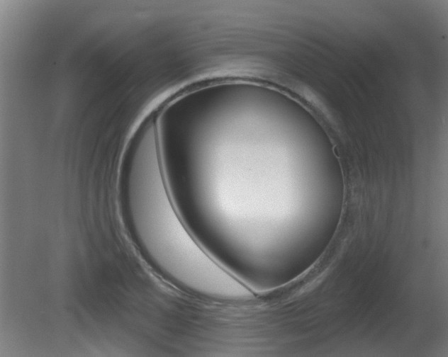 X0000081401077200701111227