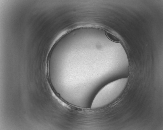 X0000081401095200701111226