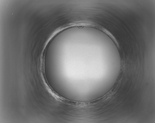 X0000081401099200701111226