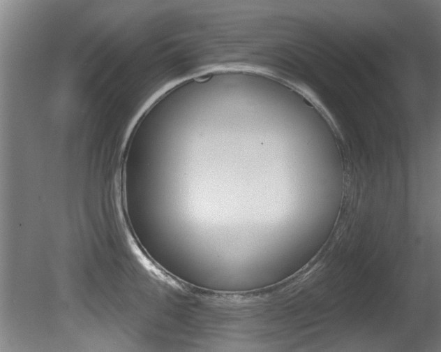 X0000081401100200701111226
