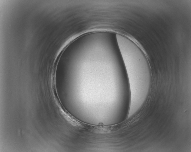 X0000081401101200701111226