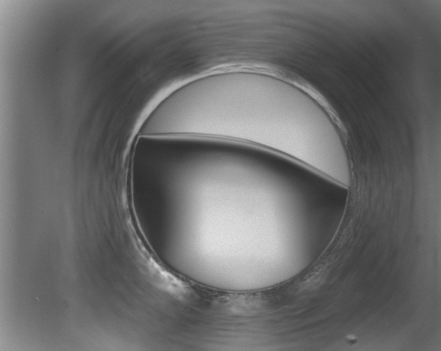 X0000081401102200701111226