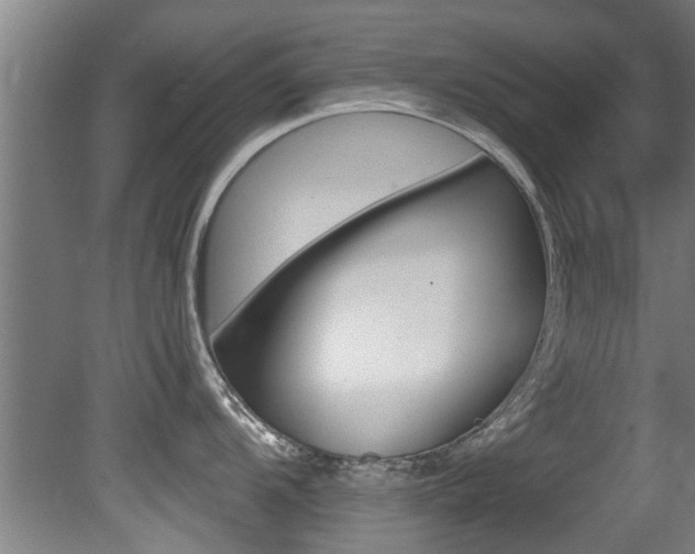 X0000081401104200701111226