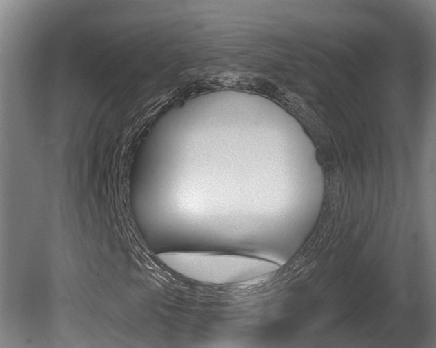 X0000081401105200701111225