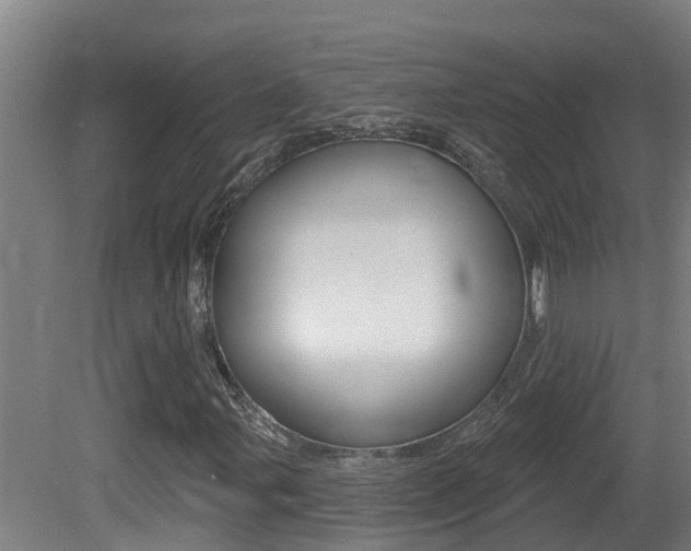 X0000081401107200701111225
