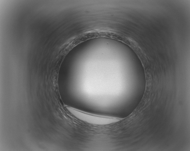 X0000081401110200701111225