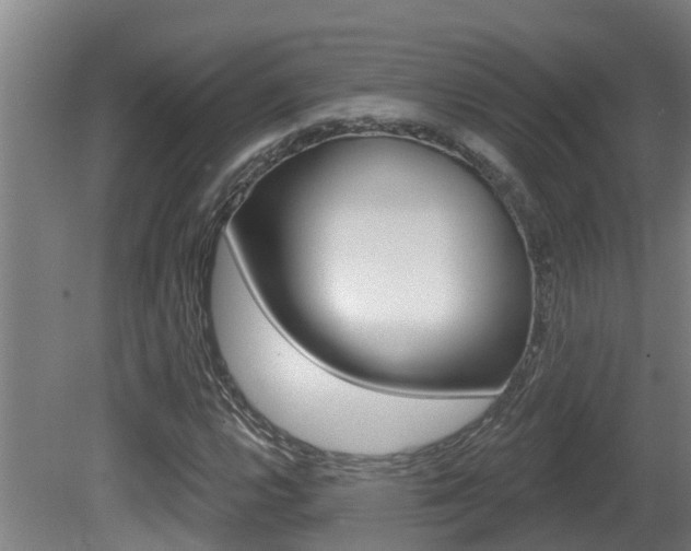 X0000081401112200701111226