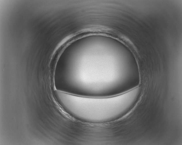 X0000081401114200701111226