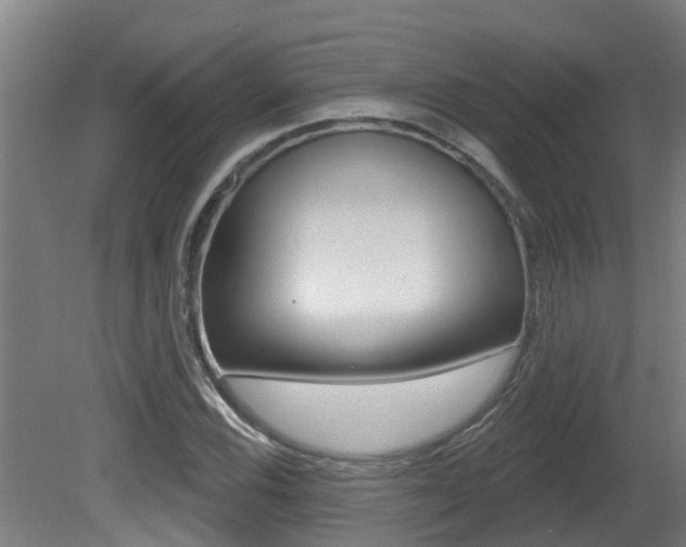 X0000081401116200701111226