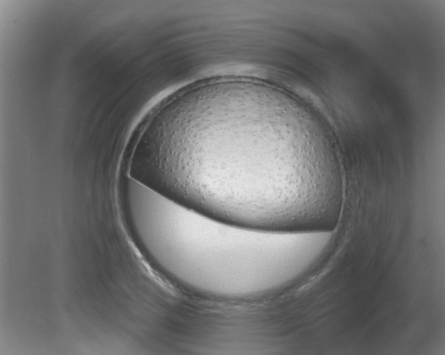 X0000081401125200701111226