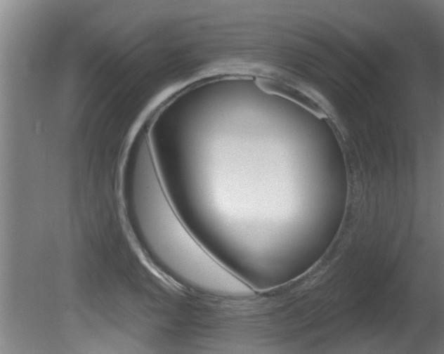 X0000081401128200701111226