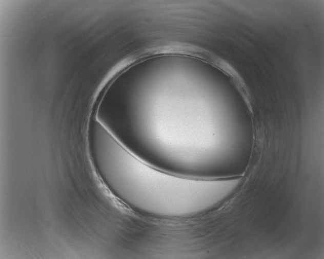 X0000081401138200701111226