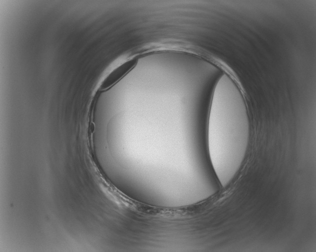 X0000081401146200701111226