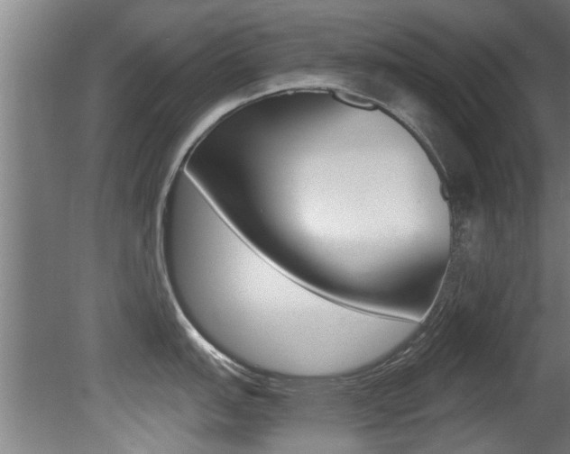 X0000081401151200701111226