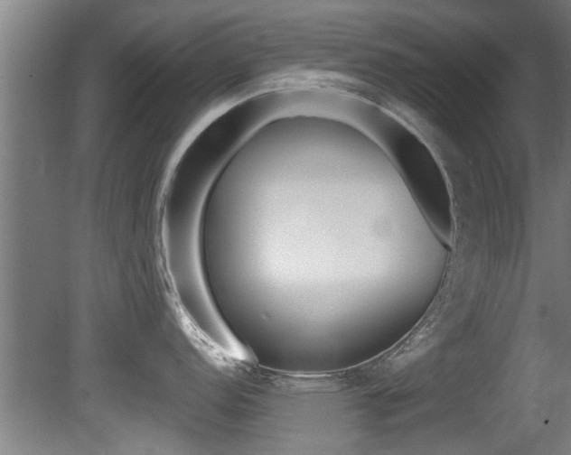 X0000081401152200701111226