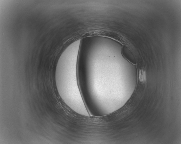 X0000081401155200701111225