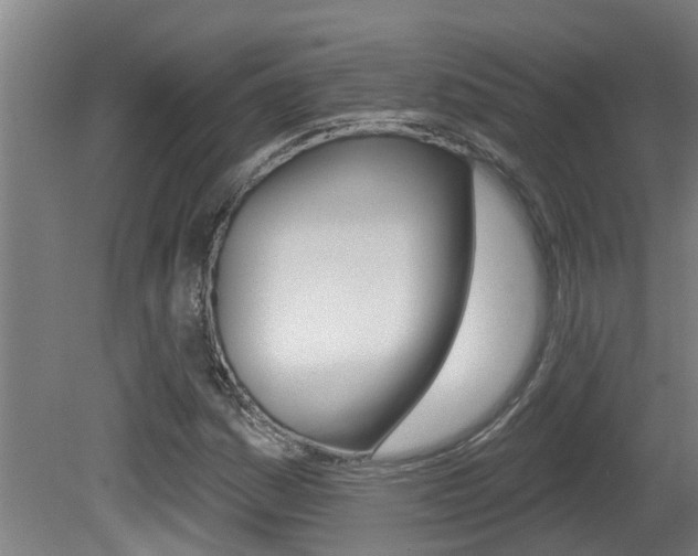 X0000081401161200701111225