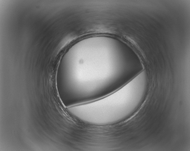 X0000081401163200701111225