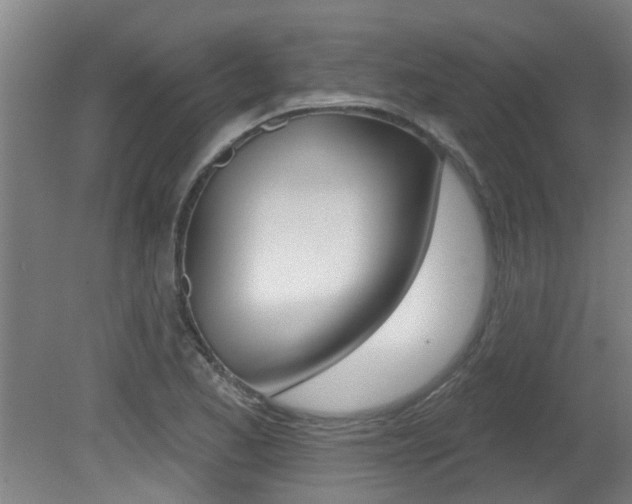 X0000081401173200701111225