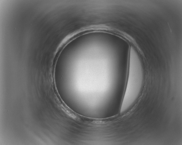 X0000081401176200701111225