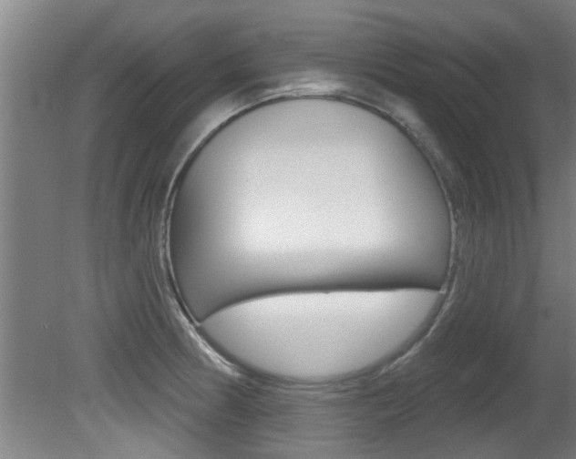 X0000081401186200701111225