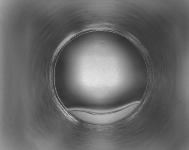 X0000081401196200701111225