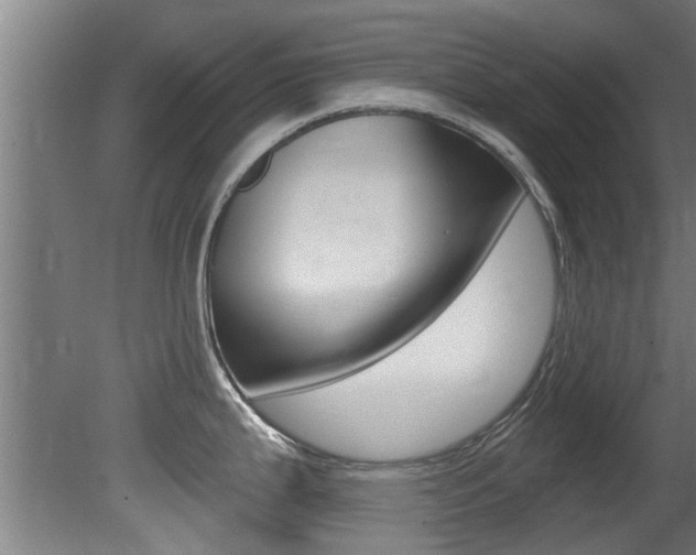 X0000081401199200701111225