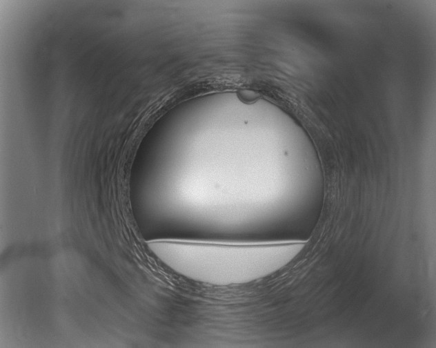X0000081401201200701111224