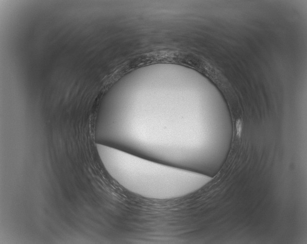 X0000081401203200701111224