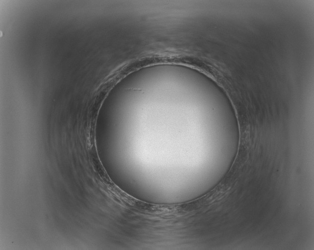 X0000081401205200701111224
