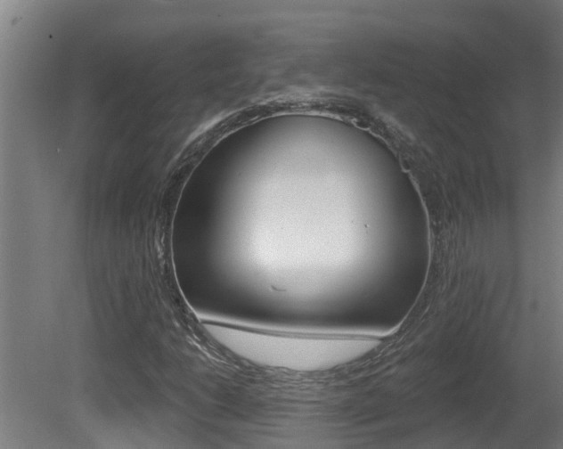 X0000081401206200701111224