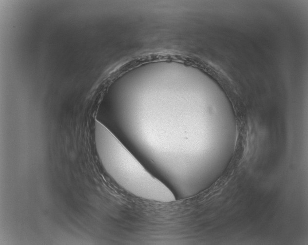 X0000081401207200701111224