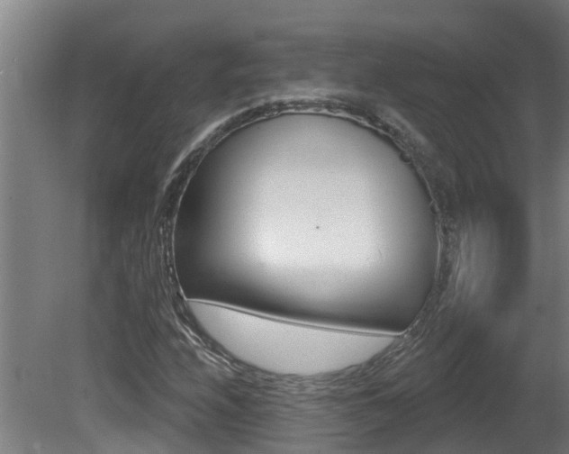 X0000081401208200701111224