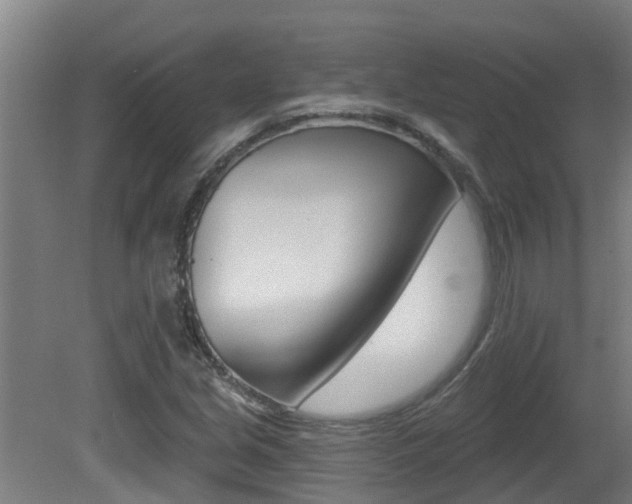 X0000081401213200701111224