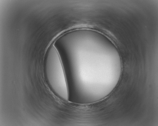 X0000081401220200701111224