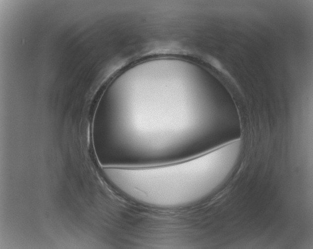 X0000081401221200701111224